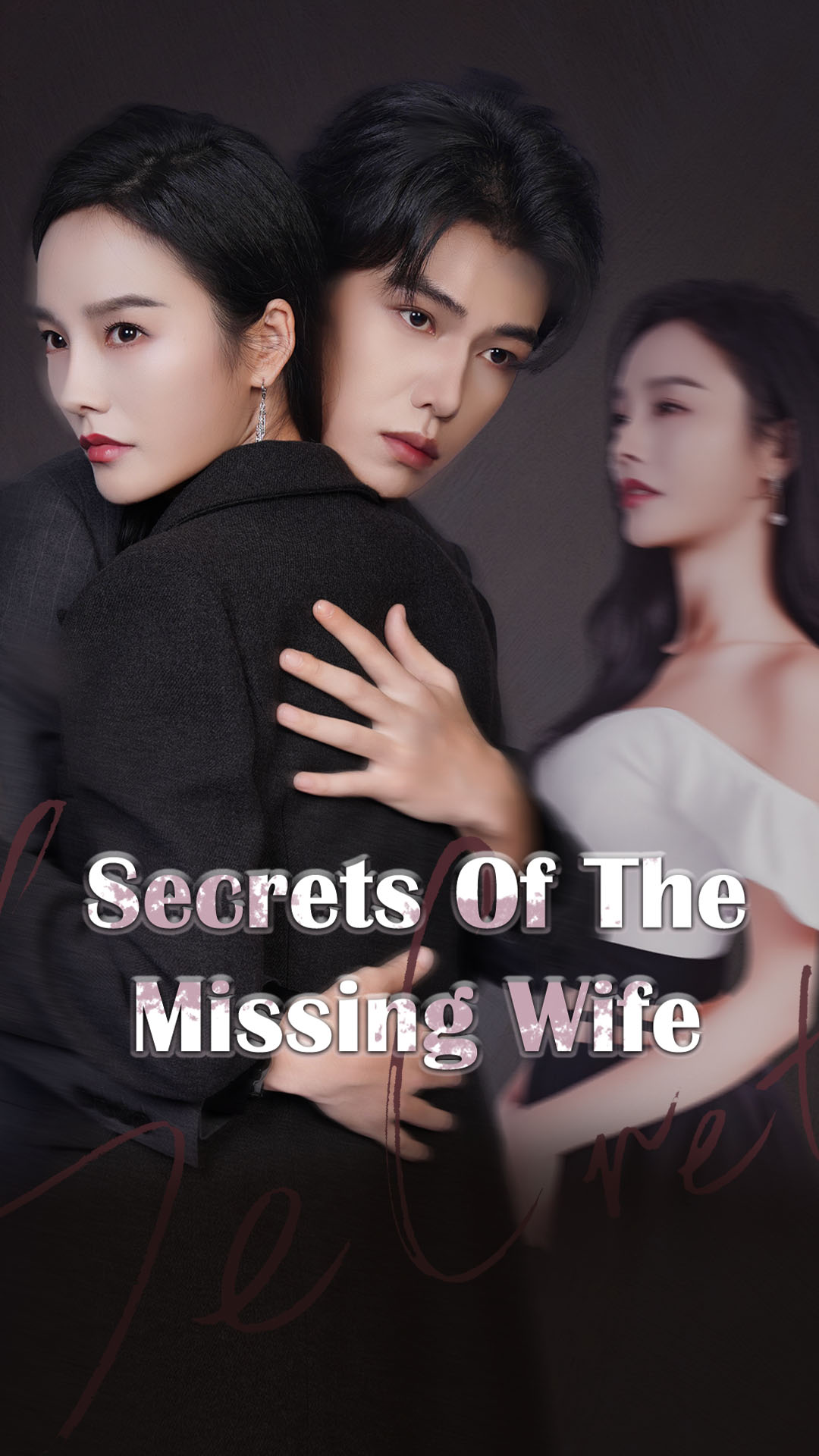 Secrets of the Missing Wife (Chinese)