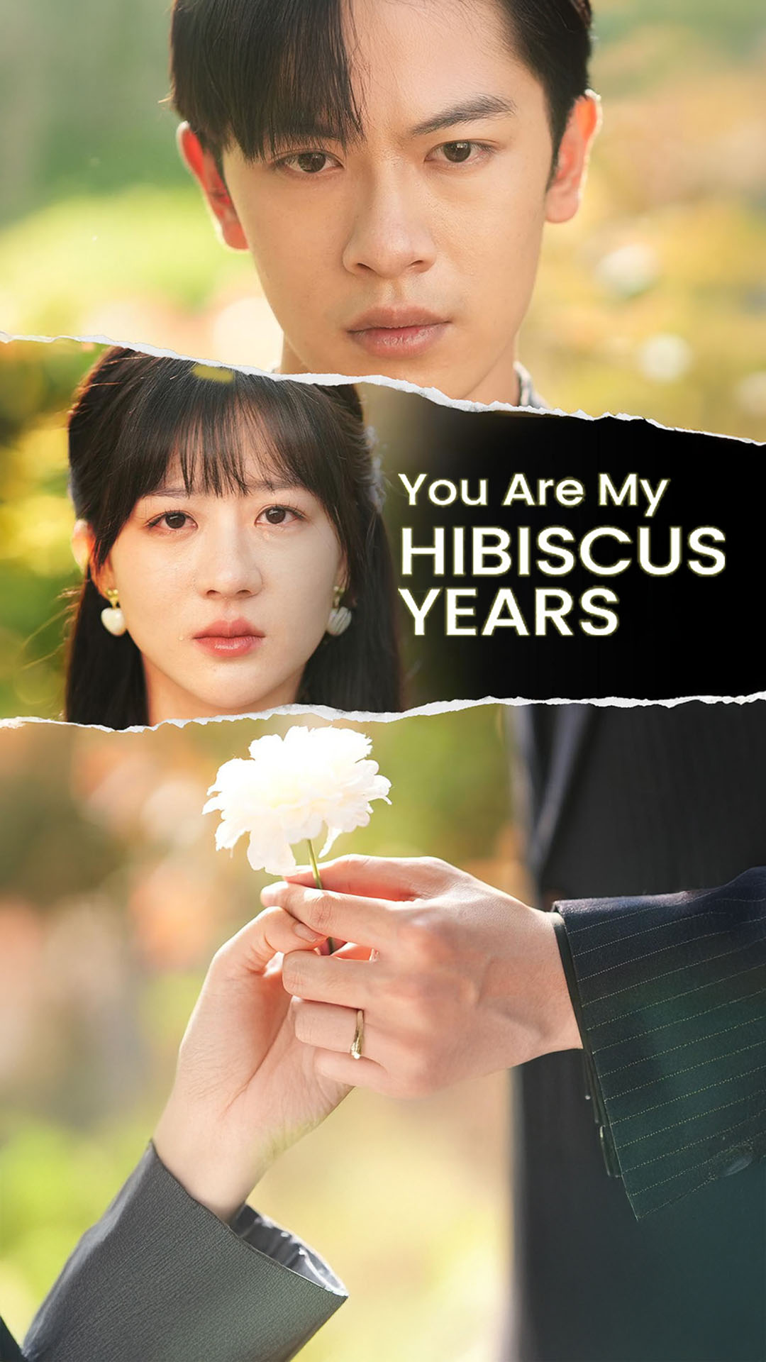 You Are My Hibiscus Years